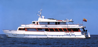 Coral I